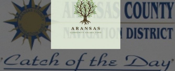 Aransas County Navigation District Elections